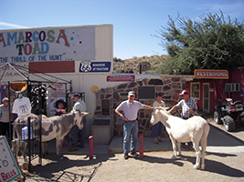 Side Trip to Oatman